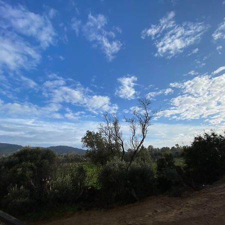 Porto-Vecchio, Luxe Et Lumiere, Stanatura Ngoại thất bức ảnh