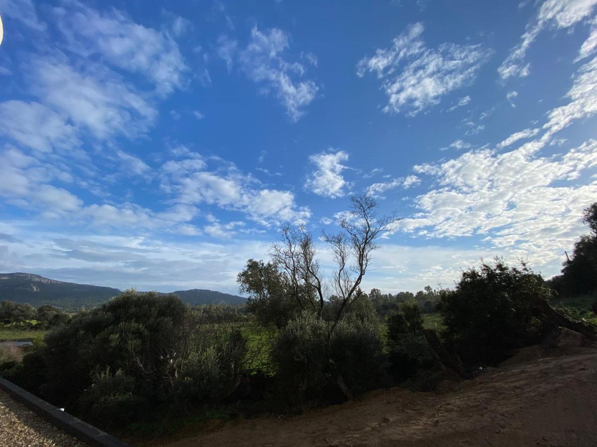 Porto-Vecchio, Luxe Et Lumiere, Stanatura Ngoại thất bức ảnh